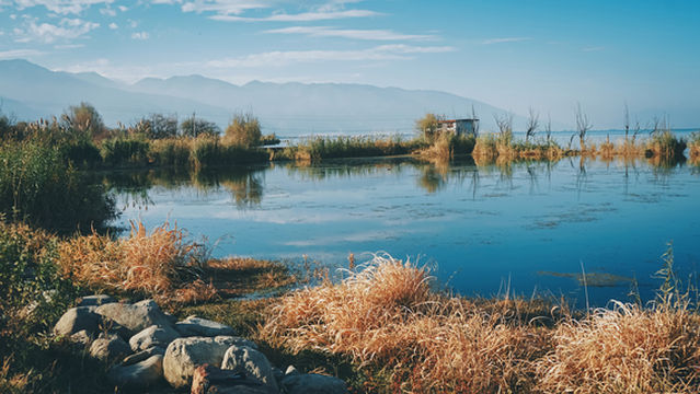 Beijing Wild Duck Lake National Wetland Park