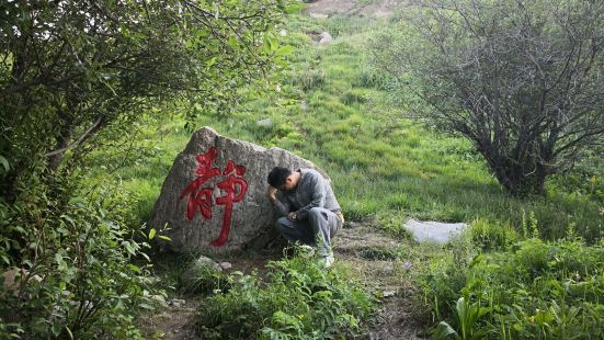 古奈斯這邊最出名的就是他的這些各種各樣的小森林，在這躺一會兒