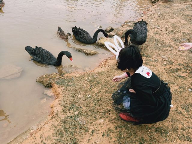 Yangsha Lake International Tourism Resort