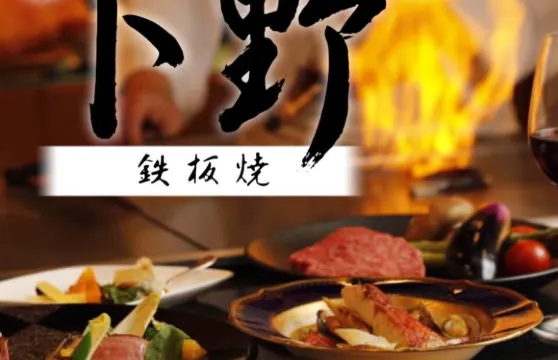 Teppanyaki Shimotsuke