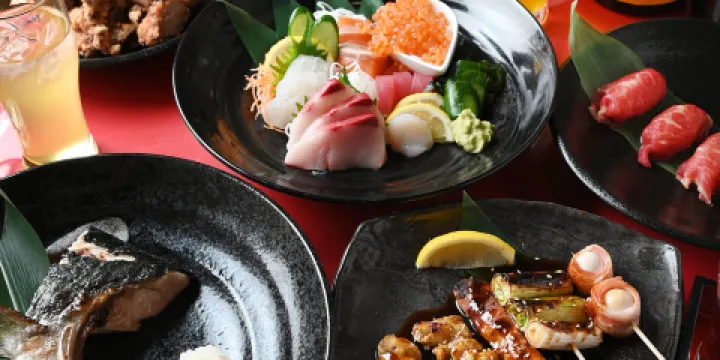 Gifu Koshitsuizakaya Irodori Gifuekimaeten