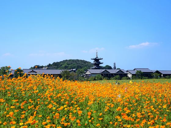 梵天花海