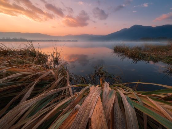 Menglishuixiang Wetland Park