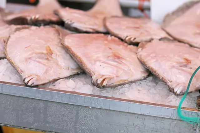 속초는 어느 계절에 방문해도 그만의 매력을 간직한 곳입니다