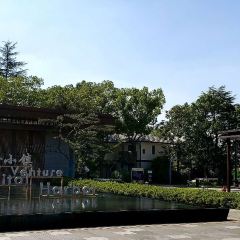 MAISON GINKGO User Photo