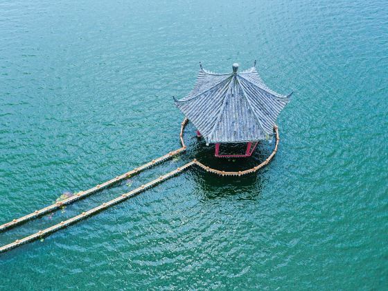 Jiaogang Lake National Wetland Park