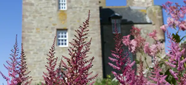 Hotels in Wick