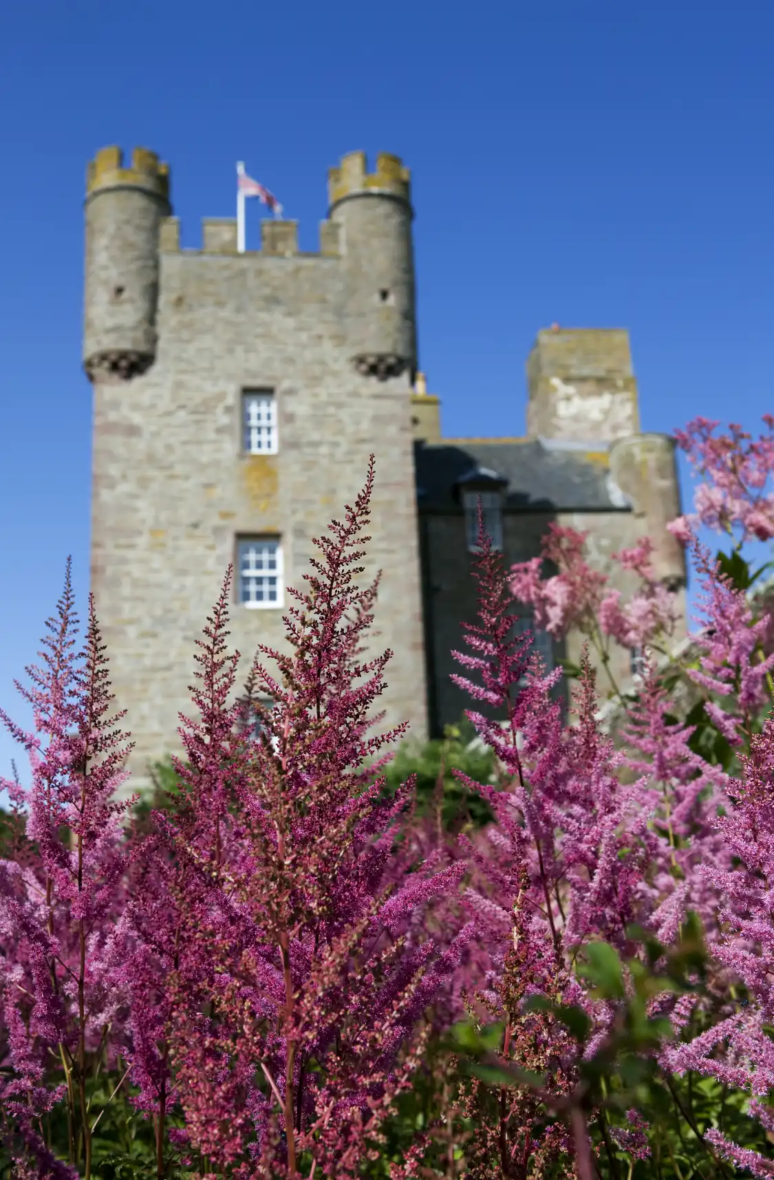 Các khách sạn gần Castle of Mey