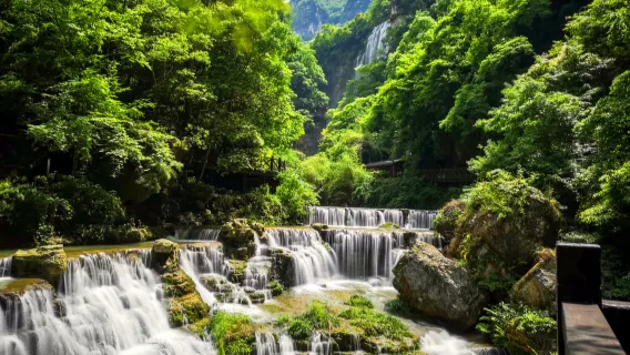 玩水避暑