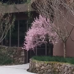 千島湖可人酒店·中餐廳張用戶圖片