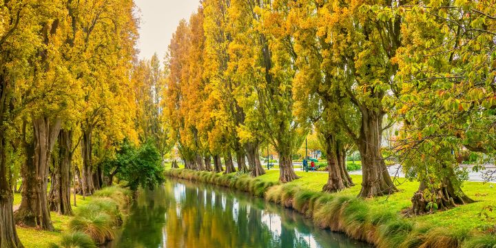 Avon River / Ōtākaro