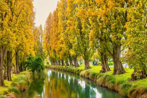Avon River / Ōtākaro