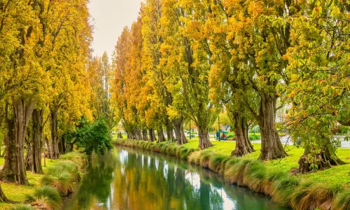 Avon River / Ōtākaro