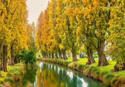 Avon River / Ōtākaro