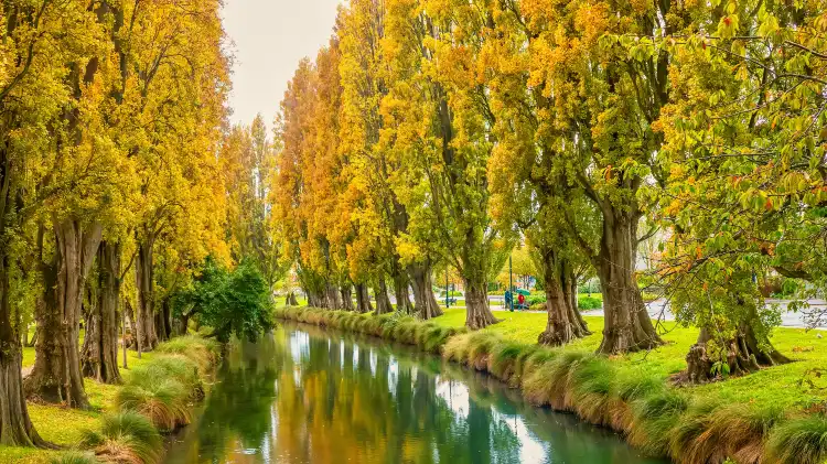 Hotels near Avon River / Ōtākaro