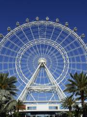 The Wheel at ICO Park