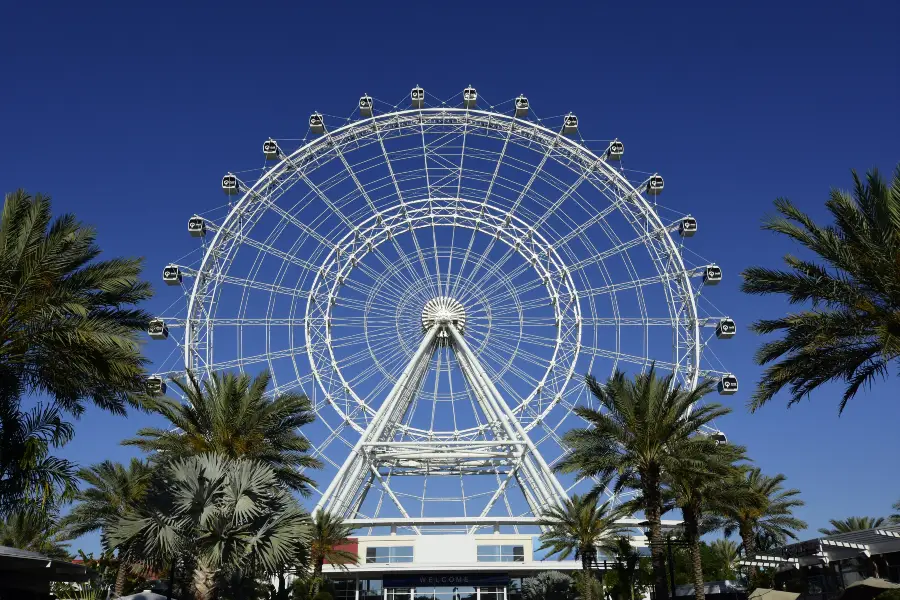 The Wheel at ICON Park