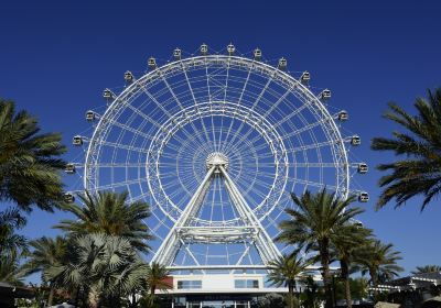 The Wheel at ICO Park