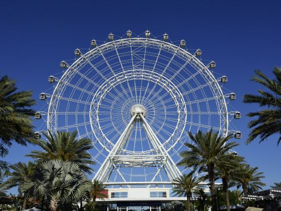 The Wheel at ICON Park