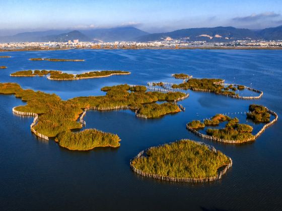 Qilu Lake Marsh