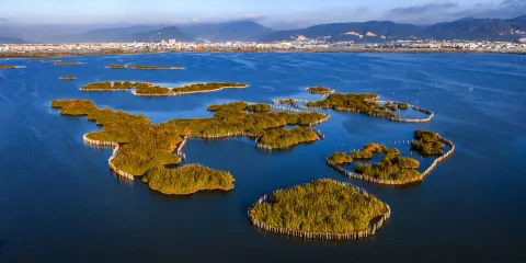 杞麓湖國家濕地公園