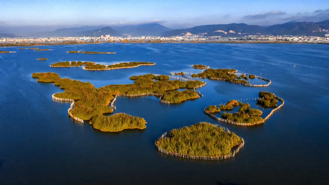 Hotels near Qilu Lake Marsh
