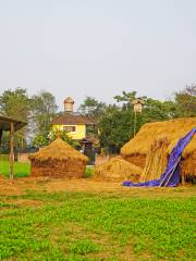 Sauraha