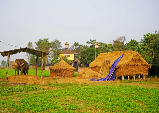 Flug Bharatpur Janakpur