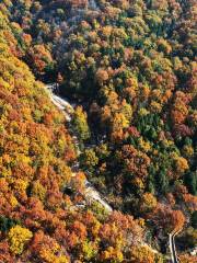 Lianqing Mountain Provincial Geology Park