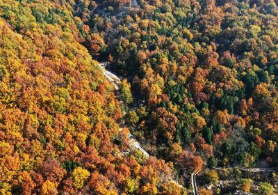 Lianqing Mountain Provincial Geology Park