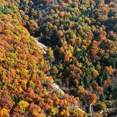 Для бизнес-поездок Отели в г. Тэнчжоу