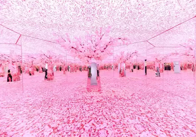 plantica花漾祕境光影沉浸藝術展 | 武漢