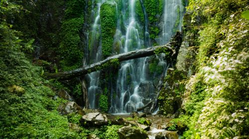 Qing Mountain Waterfall