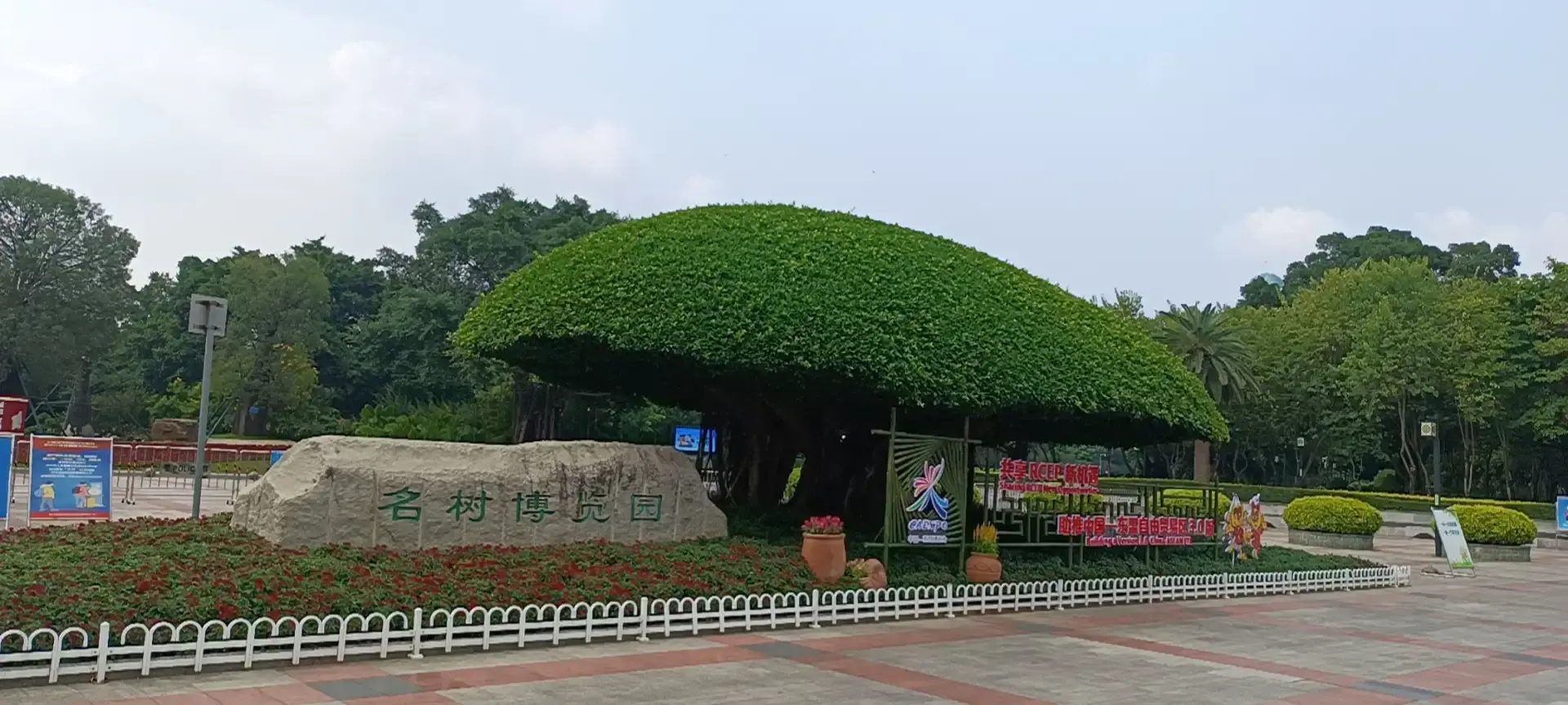 鄰近名樹博覽園的酒店