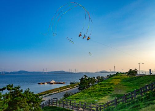 小谷流の里 ドギーズアイランド クーポン