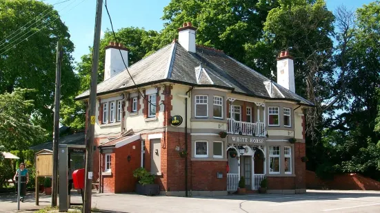 The White Horse At Churton