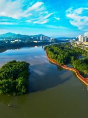 Wetland Park