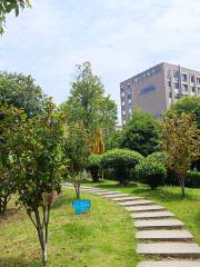 Wenxuan Park