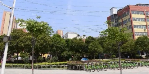 高新區管委會遊園