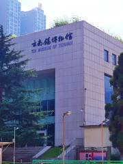 Yunnanxi Museum