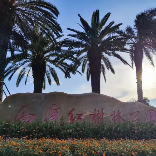 Xiwang Mangrove Park - Sea Viewing Platform