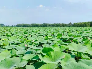 Shenyang Xihu Scenic Area