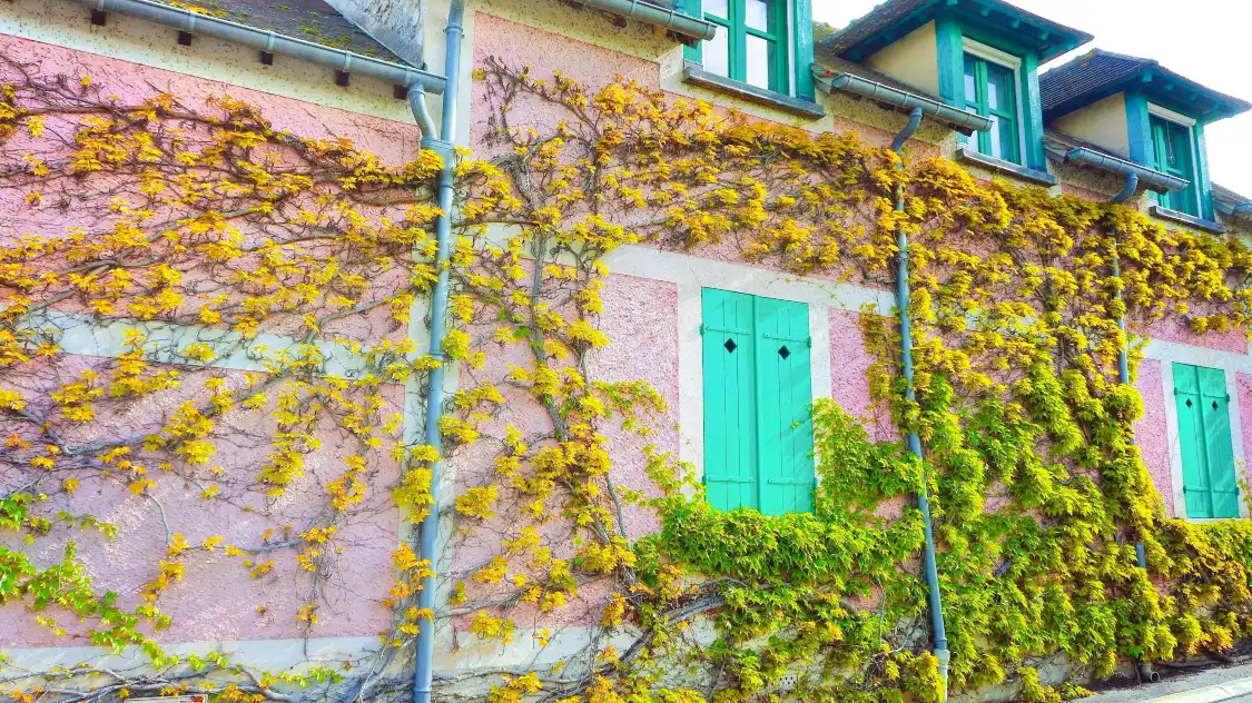 Hotels near Museum of Impressionism Giverny