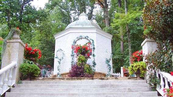 Parrot Mountain and Gardens