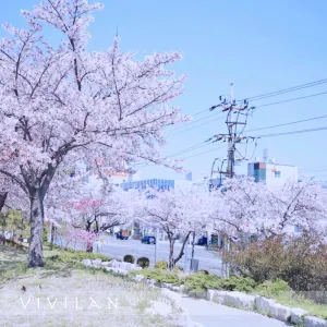 三樂生態公園