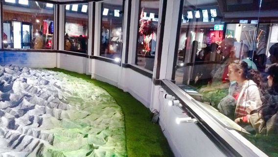 Himalayan Mountaineering Institute