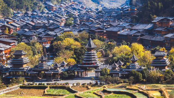 Terraced Field Sightseeing in Liping