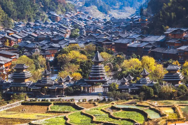 Terraced Field Sightseeing in Liping