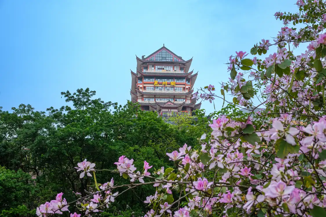 Hotel in zona Yongzhou Pavilion