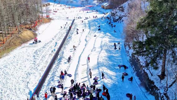 ba shan qiu chi bing xue da shi jie